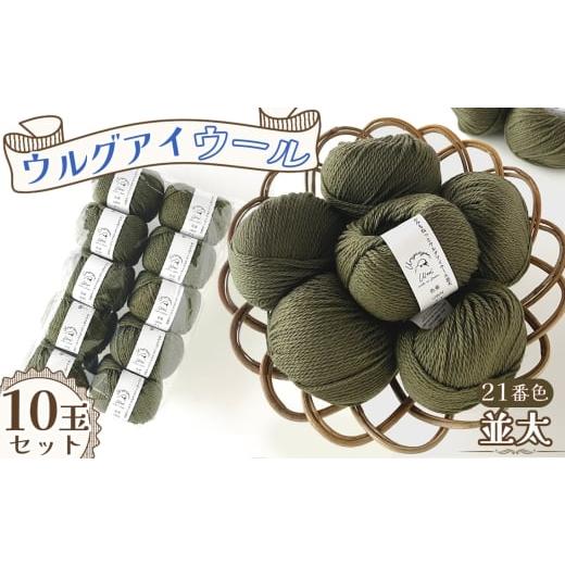 ふるさと納税 手芸 愛知県 江南市 毛糸 ウルグアイウール並太 21番色 10玉セット / ウール100% 並太毛糸 手編み 編み物 ハンドメイド 冬小物 マフラー 帽子 …