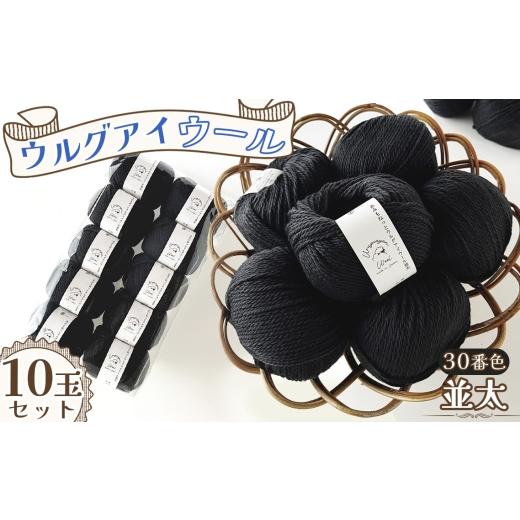 ふるさと納税 手芸 愛知県 江南市 毛糸 ウルグアイウール並太 30番色 10玉セット / ウール100% 並太毛糸 手編み 編み物 ハンドメイド 冬小物 マフラー 帽子 …