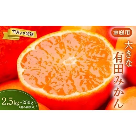 ふるさと納税 果物類 みかん 和歌山県 美浜町 家庭用 大きな有田みかん2.5kg+250g(傷み補償分)