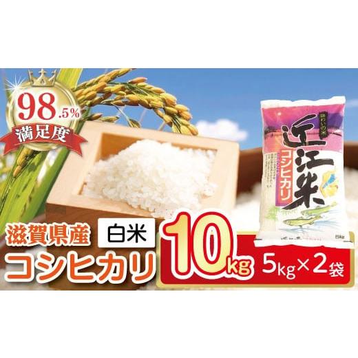 ふるさと納税 米 コシヒカリ 滋賀県 近江八幡市 令和7年産 こしひかり 10kg ( 5kg × 2袋 ) T020W2 5kg 10kg 米 こしひかり コシヒカリ おこめ 贈り物 人気米 …