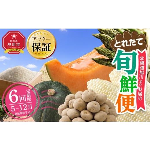 ふるさと納税 野菜類 アスパラガス 北海道 旭川市 先行予約 とれたて旬鮮便〜北海道旭川市から旬の定期便〜全6回 野菜 アスパラ グリーンアスパラ アスパラガ…