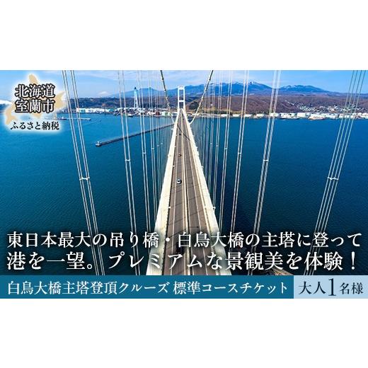 ふるさと納税 体験チケット 北海道 室蘭市 白鳥大橋主塔登頂クルーズ 標準コースチケット 大人1名様 ふるさと納税 人気 おすすめ ランキング 体験 チケット 白…