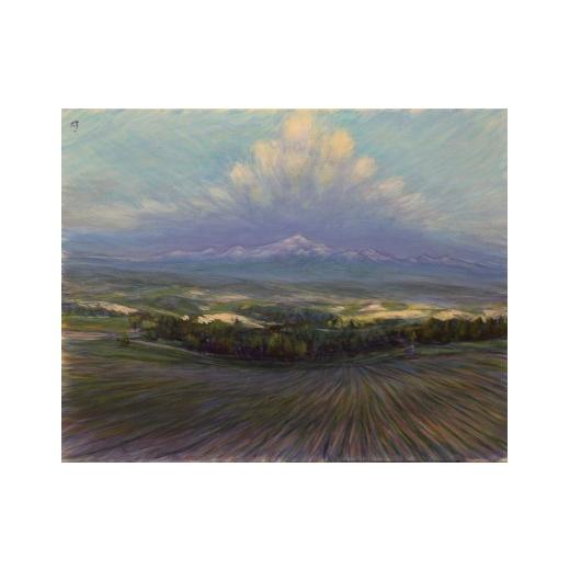 ふるさと納税 雑貨・日用品 絵画 北海道 中富良野町 六月の千望峠 額付き