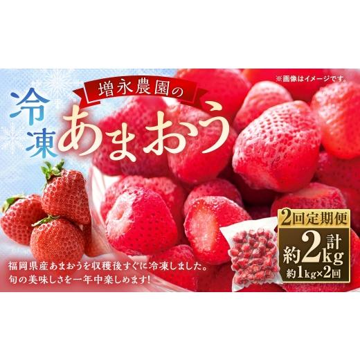 ふるさと納税 いちご 福岡県 苅田町 2回定期便 増永農園のあまおう冷凍いちご 約1kg あまおう 冷凍 いちご イチゴ 苺 国産 福岡県産 くだもの 果物 フルーツ …