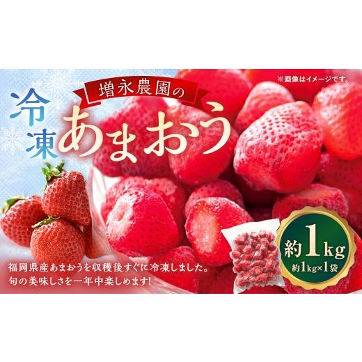 ふるさと納税 いちご 福岡県 苅田町 増永農園のあまおう冷凍いちご 約1kg あまおう 冷凍 いちご イチゴ 苺 国産 福岡県産 くだもの 果物 フルーツ 果実