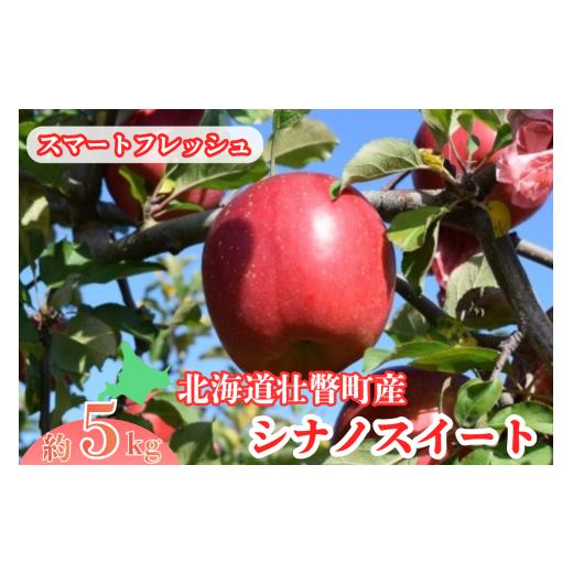 ふるさと納税 りんご 北海道 壮瞥町 ファームアグリエイトのシナノスイート約5kg(18〜20玉) スマートフレッシュ ふるさと納税 人気 おすすめ ランキング 北…