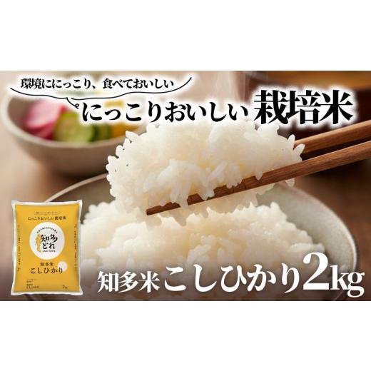 ふるさと納税 米 コシヒカリ 愛知県 南知多町 知多米 こしひかり 2kg 米 コシヒカリ こめ お米 主食 白米 人気 ふるさと納税米 ふるさと納税こめ ふるさと納税…