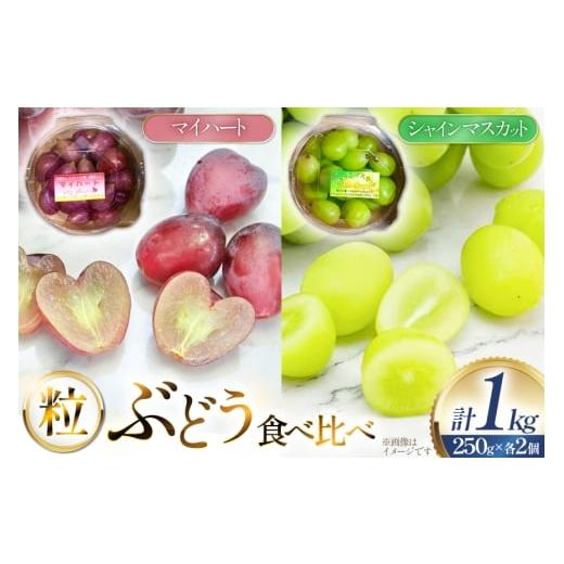 ふるさと納税 果物の詰合せ 山形県 高畠町 期間限定発送 ぶどう 食べ比べ シャインマスカット マイハート 250g 各2個 計4個 1kg セット 治右衛門果樹園 山形…