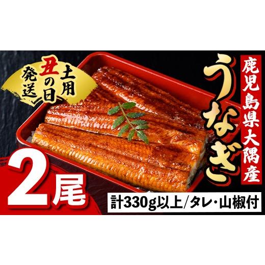 ふるさと納税 うなぎ 鹿児島県 肝付町 A57005 [土用の丑の日までに発送 ]うなぎ蒲焼・大(有頭)(2尾・計330g以上、タレ、山椒付) 鹿児島 国産 大隅産 九州産 …
