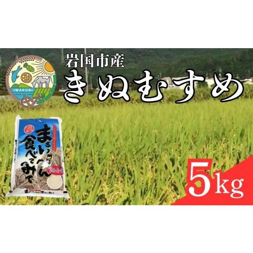 ふるさと納税 米 山口県 岩国市 きぬむすめ 5kg 岩国市産 精米 いわくにアグリパートナーズ