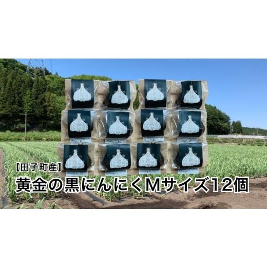 ふるさと納税 野菜類 薬味 青森県 田子町 丸美農園 田子町産 遠赤外線熟成 黄金の黒にんにく(Mサイズ) 12個