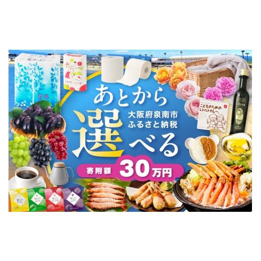 ふるさと納税 イベントやチケット等 大阪府 泉南市 あとからセレクト ふるさとギフト 30万円 119A-004