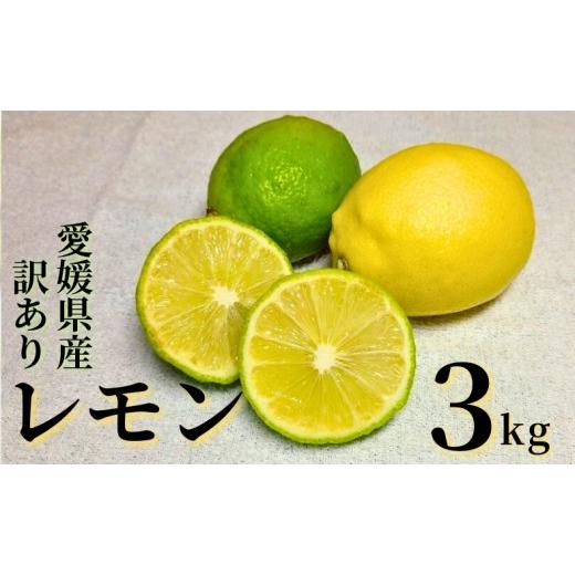 ふるさと納税 果物類 みかん 愛媛県 伊予市 レモン 3kg ご家庭用 バラ詰め ユーレカ 愛媛 2026年10月から順次発送予定 数量限定 檸檬 柑橘 フルーツ ビタミン …