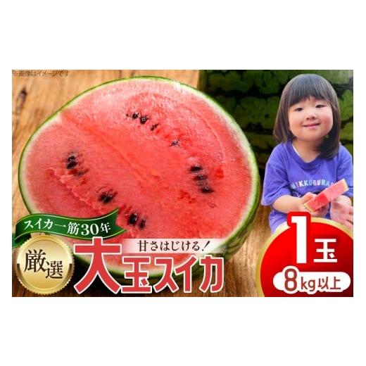 ふるさと納税 スイカ 長崎県 島原市 AJ698 令和8年出荷分 Farm honda 大玉スイカ 1玉 8kg以上 スイカ すいか 西瓜 大玉すいか 肥後浪漫 羅皇ザ・スイート 羅王…