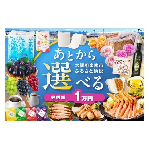 ふるさと納税 イベントやチケット等 大阪府 泉南市 あとからセレクト ふるさとギフト 1万円 119D-001