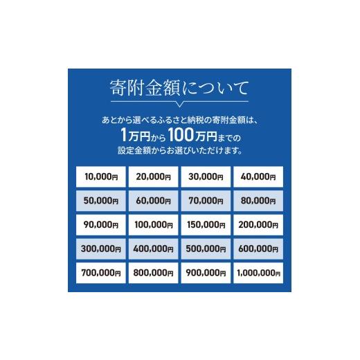 ふるさと納税 イベントやチケット等 大阪府 泉南市 あとからセレクト ふるさとギフト 7万円 119B-003の画像