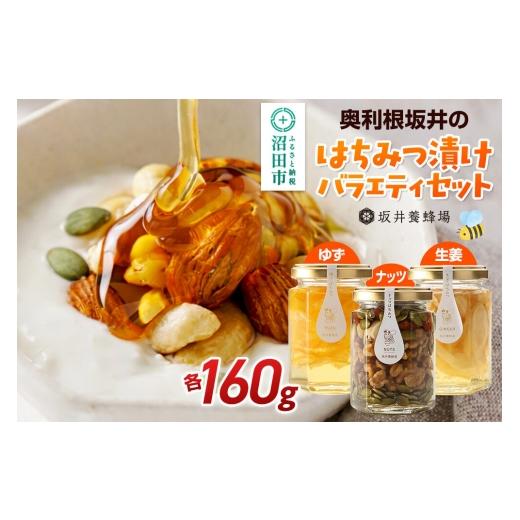ふるさと納税 加工品等 はちみつ 群馬県 沼田市 奥利根坂井のはちみつ漬けバラエティセット 柚子・生姜・ナッツ (各160g) 坂井養蜂場 国産 ハチミツ 蜂蜜 ア…
