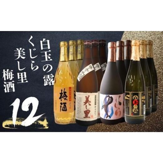 ふるさと納税 焼酎 いも 鹿児島県 錦江町 No.5072-1 白玉の露 ・梅酒・美し里・くじら(4合瓶)12本セット