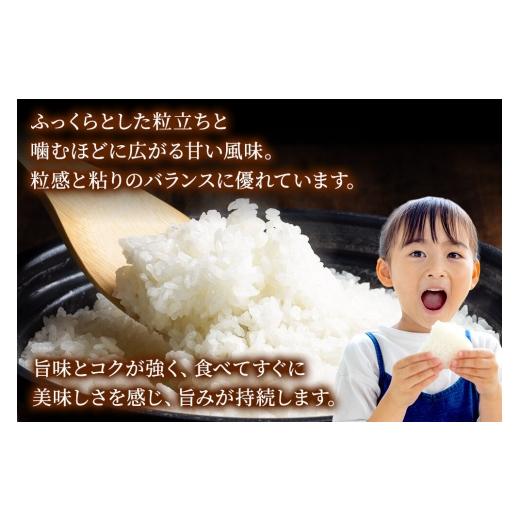 ふるさと納税 米 秋田県 秋田市 米《定期便4ヶ月》サキホコレ 白米 米どころ秋田県産 令和7年産 精米 5kg（5kg×1袋） 米 お米 こめ 白米 精米 サキホコレ ブ…_5