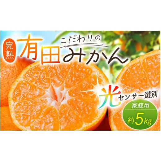 ふるさと納税 果物類 みかん 和歌山県 新宮市 2026年10月発送 ＼光センサー選別/農家直送 家庭用 こだわりの有田みかん 約5kg+150g(傷み補償分) みかん ミ…