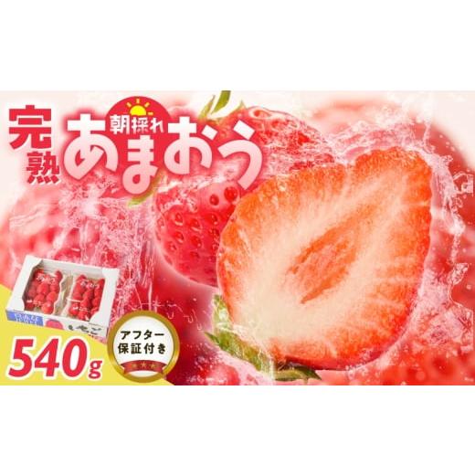 ふるさと納税 いちご 福岡県 久留米市 増永農園 福岡県産あまおう 270g×2パック _ 270g 2パック 高級特産品 あまおう 福岡県産 朝採れ 新鮮 こだわり いち…