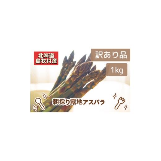 ふるさと納税 野菜類 アスパラガス 北海道 島牧村 先行予約 訳あり 島牧村産アスパラガス 1kg(冷蔵便) 2026年5月上旬〜発送予定 1705088
