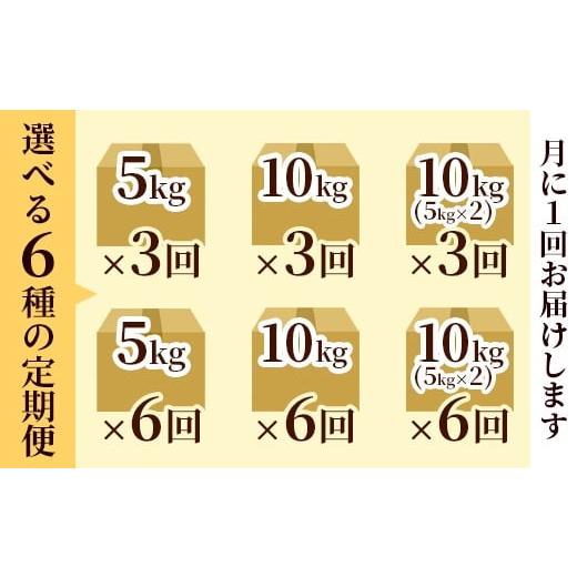 ふるさと納税 玄米 京都府 綾部市 定期便3回 聖米(精米) 10kg（5kg×2）×3回 | 米 お米 こしひかり 白米 精米 ごはん おこめ 国産 お米の定期便 京都府 綾部…_5