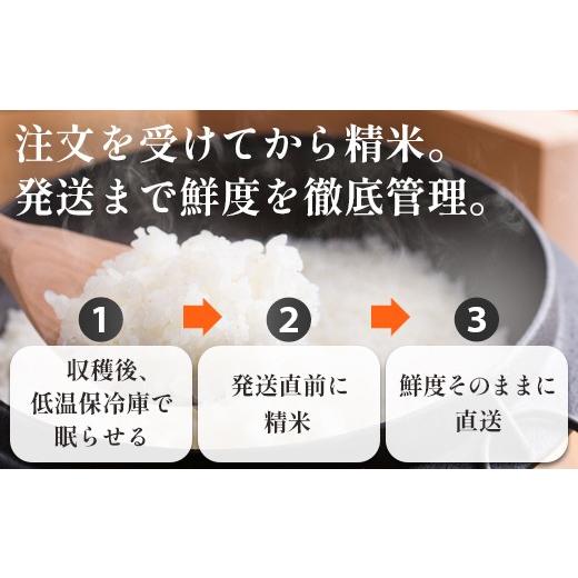 ふるさと納税 玄米 京都府 綾部市 定期便3回 聖米(精米) 10kg（5kg×2）×3回 | 米 お米 こしひかり 白米 精米 ごはん おこめ 国産 お米の定期便 京都府 綾部…_7
