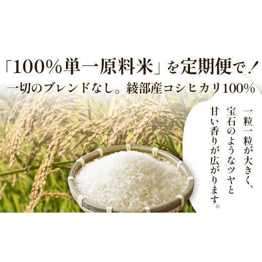 ふるさと納税 玄米 京都府 綾部市 定期便3回 聖米(玄米) 10kg（5kg×2）×3回 | 米 お米 こしひかり 玄米 ごはん おこめ 国産 お米の定期便 京都府 綾部市 玄…_3