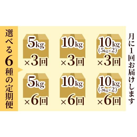 ふるさと納税 玄米 京都府 綾部市 定期便3回 聖米(玄米) 10kg（5kg×2）×3回 | 米 お米 こしひかり 玄米 ごはん おこめ 国産 お米の定期便 京都府 綾部市 玄…_5