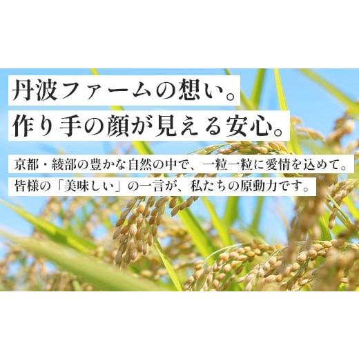 ふるさと納税 玄米 京都府 綾部市 定期便3回 聖米(玄米) 10kg（5kg×2）×3回 | 米 お米 こしひかり 玄米 ごはん おこめ 国産 お米の定期便 京都府 綾部市 玄…_9