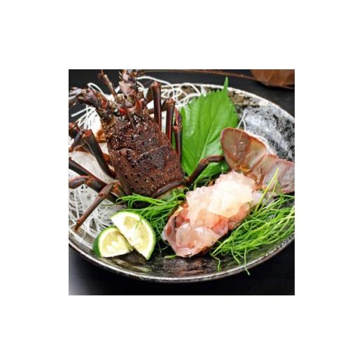 ふるさと納税 エビ 伊勢エビ 千葉県 いすみ市 刺身用活〆冷凍伊勢海老900g 1719381