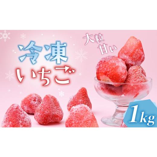 ふるさと納税 いちご 茨城県 ひたちなか市 訳あり 完熟いちごの冷凍1kgパウチ ヘタなし | いちご イチゴ 苺 かおり野 恋みのり 紅かおり みくのか けんしろ…