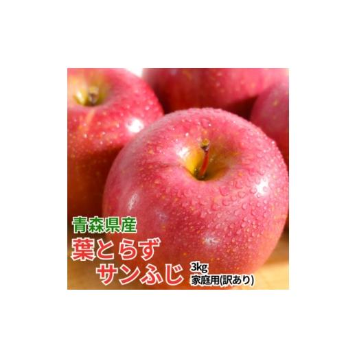 ふるさと納税 りんご 青森県 黒石市 4月出荷予定 平均糖度13度以上 葉とらずサンふじ 約3kg 訳あり クール便 1717797