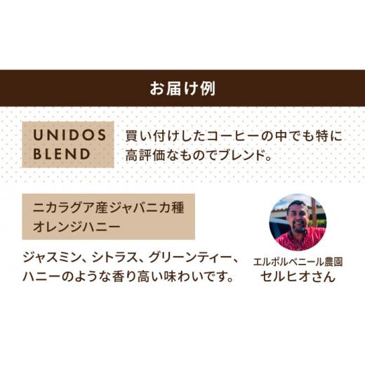 ふるさと納税 コーヒー コーヒー豆 福岡県 糸島市  粗挽き 全3回定期便 中煎り コーヒー 豆 ウニドスブレンド 250g × 2袋 ( 豆 ・ 粉 選べます ) 糸島市 ／ C…_5