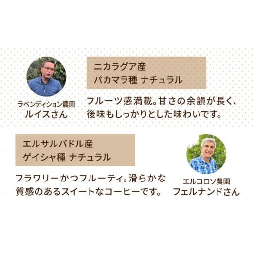 ふるさと納税 コーヒー コーヒー豆 福岡県 糸島市  粗挽き 全3回定期便 中煎り コーヒー 豆 ウニドスブレンド 250g × 2袋 ( 豆 ・ 粉 選べます ) 糸島市 ／ C…_6
