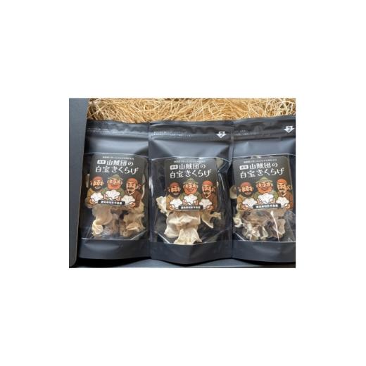 ふるさと納税 野菜類 きのこ 愛知県 武豊町 国産 山賊団の白宝きくらげ(肉厚プルプル) 20g 3個セット 1717882