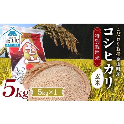 ふるさと納税 米 コシヒカリ 山形県 金山町 令和7年度産 数量限定 特別栽培米 コシヒカリ玄米5kg 米 お米 ご飯 ブランド米