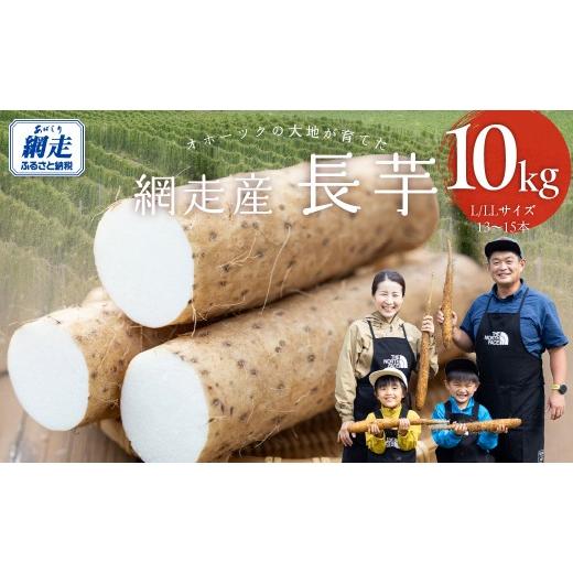 ふるさと納税 野菜類 北海道 網走市 長芋 10kg ふるさと納税 人気 おすすめ ランキング 長芋 ながいも ミネラル とろろ オホーツク 北海道 網走市 送料無料 AB…