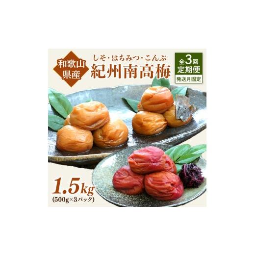 ふるさと納税 加工品等 梅干 和歌山県 御坊市 発送月固定定期便 紀州南高梅1.5kgセット