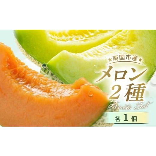 ふるさと納税 メロン メロン青肉 高知県 南国市 贈答用 メロン 青肉・赤肉 セット 各1個 | 青肉 メロン 赤肉 メロン セット 1個 マスクメロン めろん フルーツ…