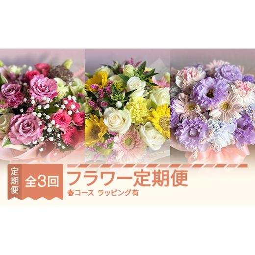 ふるさと納税 雑貨・日用品 花 山形県 村山市 全3回フラワー定期便 3月~5月 春コース(ラッピングあり) ip-ftgsp 全3回春コース3月~5月(ラッピングあり)