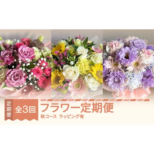 ふるさと納税 雑貨・日用品 花 山形県 村山市 全3回フラワー定期便 9月~11月 秋コース(ラッピングあり) ip-ftgau 全3回秋コース9月~11月(ラッピングあり)