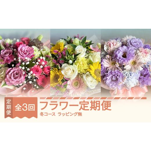 ふるさと納税 雑貨・日用品 花 山形県 村山市 全3回フラワー定期便 12月~2月 冬コース(ラッピングなし) ip-ftxwi 全3回冬コース12月~2月(ラッピングなし)