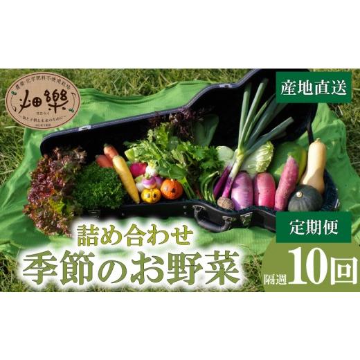 ふるさと納税 セット・詰合せ 山口県 下関市 旬 の 野菜 詰め合わせ セット 隔週計10回 2週間に1回 定期便 7 ~ 9 品 2025年5月以降順次発送 お楽しみ 産地直送…