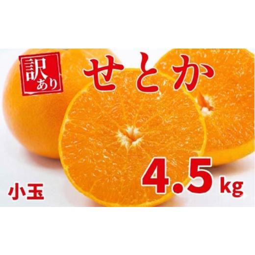 ふるさと納税 みかん・柑橘類 愛媛県 愛南町 せとか みかん 高級品種 農家直送 薄皮ごと食べられる/とろける食感/濃厚な甘み 4.5kg(サイズ小玉) ミカン 柑…