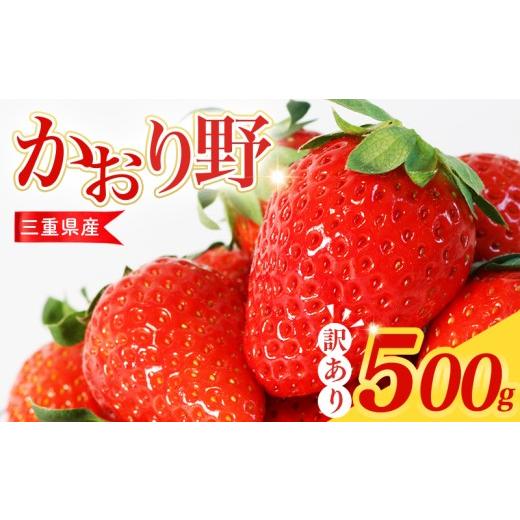 ふるさと納税 いちご 三重県 南伊勢町 訳あり いちご 500g かおり野 苺 イチゴ ストロベリー サイズ不揃い フルーツ 果物 スムージー ヨーグルト 三重県産 ic…