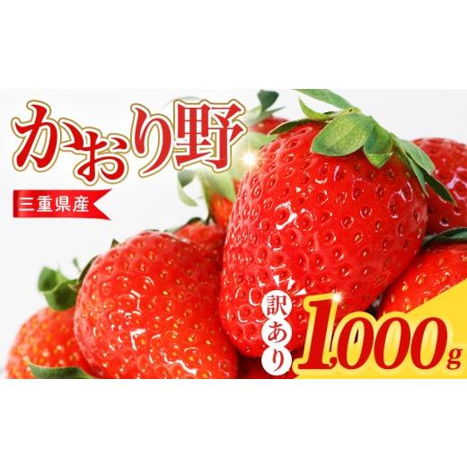ふるさと納税 いちご 三重県 南伊勢町 訳あり いちご 1kg かおり野 苺 イチゴ ストロベリー サイズ不揃い フルーツ 果物 スムージー ヨーグルト 三重県産 ich…