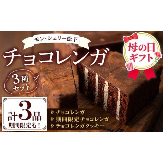 ふるさと納税 ケーキ・カステラ チョコレートケーキ 鹿児島県 いちき串木野市 ＼令和8年 母の日/大人気 チョコレンガ 3種セット「チョコレンガ (大)×1」と…