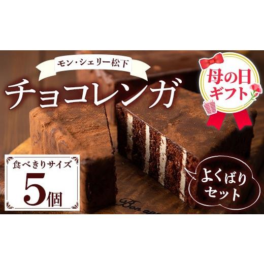ふるさと納税 ケーキ・カステラ チョコレートケーキ 鹿児島県 いちき串木野市 ＼令和8年 母の日/大人気 食べきりチョコレンガ よくばりセット (ミニチョコレ…